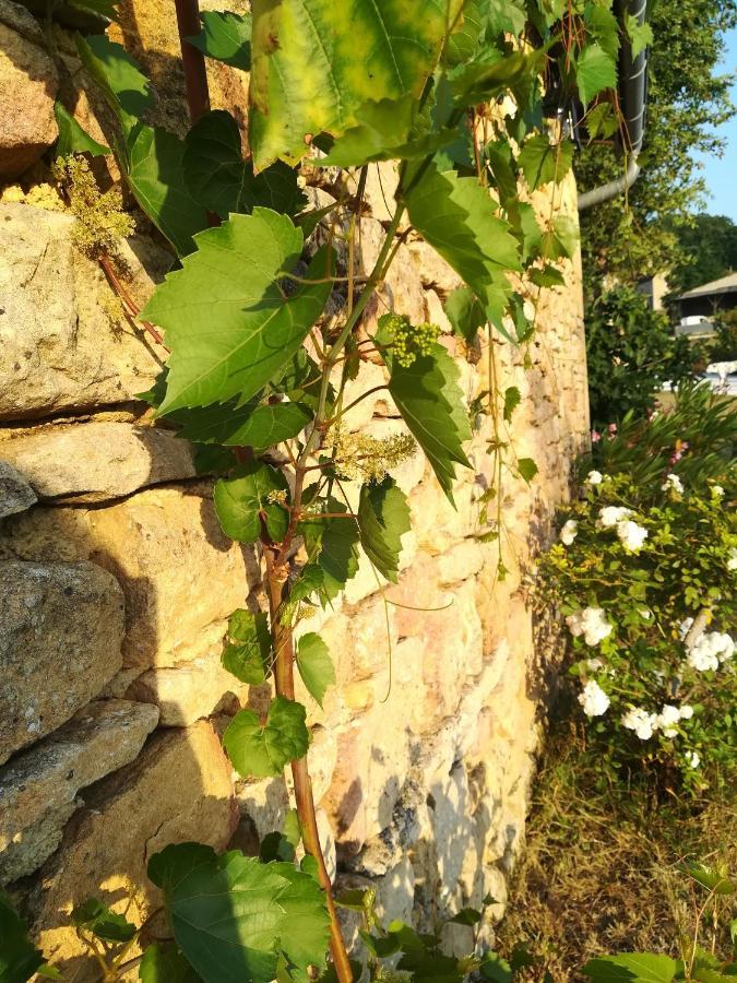 O Reve De Gabriel Bed & Breakfast Saint-Amand-de-Coly Bagian luar foto