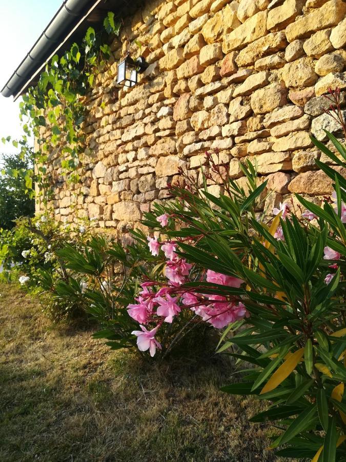 O Reve De Gabriel Bed & Breakfast Saint-Amand-de-Coly Bagian luar foto