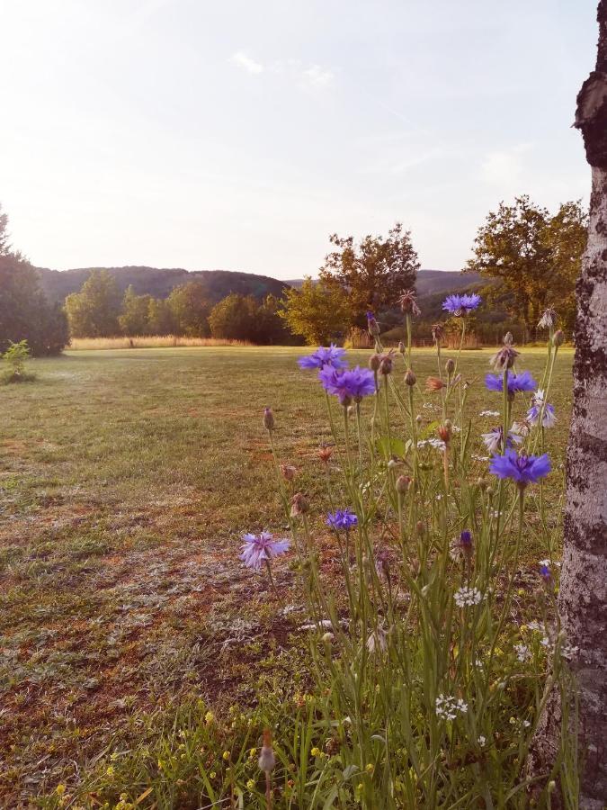 O Reve De Gabriel Bed & Breakfast Saint-Amand-de-Coly Bagian luar foto