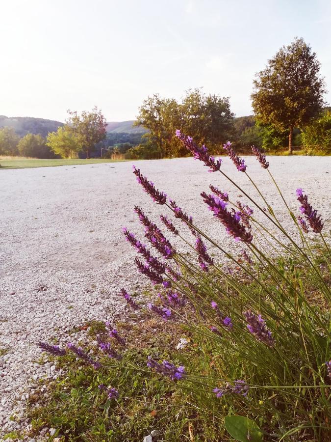 O Reve De Gabriel Bed & Breakfast Saint-Amand-de-Coly Bagian luar foto